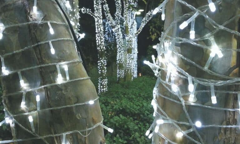 how-to-shorten-outdoor-led-string-lights