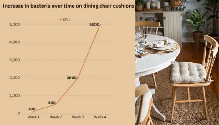 Maintaining Clean Cushions Over Time
How to Clean Dining Room Chair Cushions